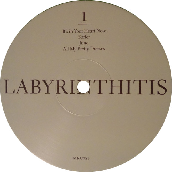 Альбом Labyrinthitis, год выпуска 2022, артисты Destroyer (4), стиль ...